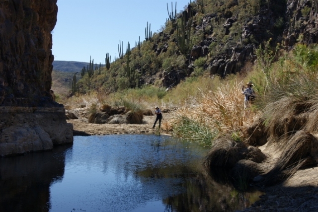 Senderismo interpretativo